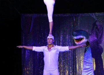 3051 Chinese pole - Maxima Artistic Agency (2)