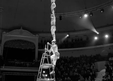 3051 Chinese pole - Maxima Artistic Agency (3)