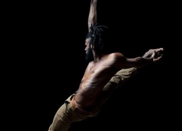 2154 Marco - Aerial straps (3)