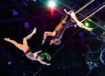 51155568_10155822810357181_8045126979868950528_o