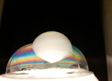 1355 Jose & Javi /Bubble show