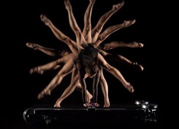 Contortion -Maxima Art Agency  (2)