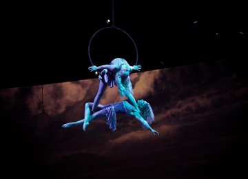 3116 Aerial hoop duo