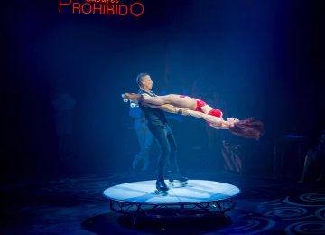 3119 Roller skating act