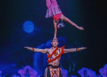 Ballet on Shoulder photo3