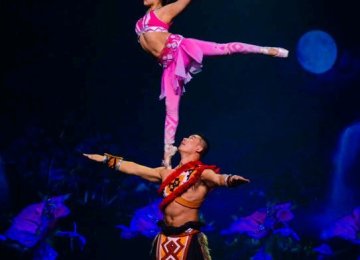 Ballet on Shoulder photo7