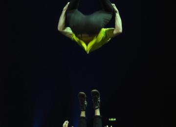 Theo and Lucas photo2