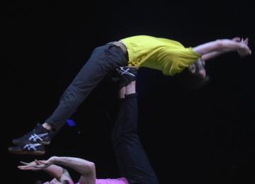 Theo and Lucas photo3