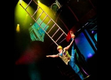 Ladder balancing act 