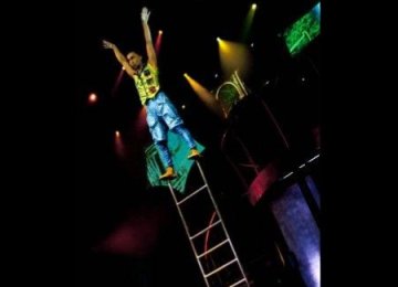 Ladder balancing act 