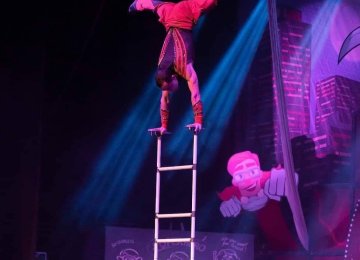 Ladder balancing act 