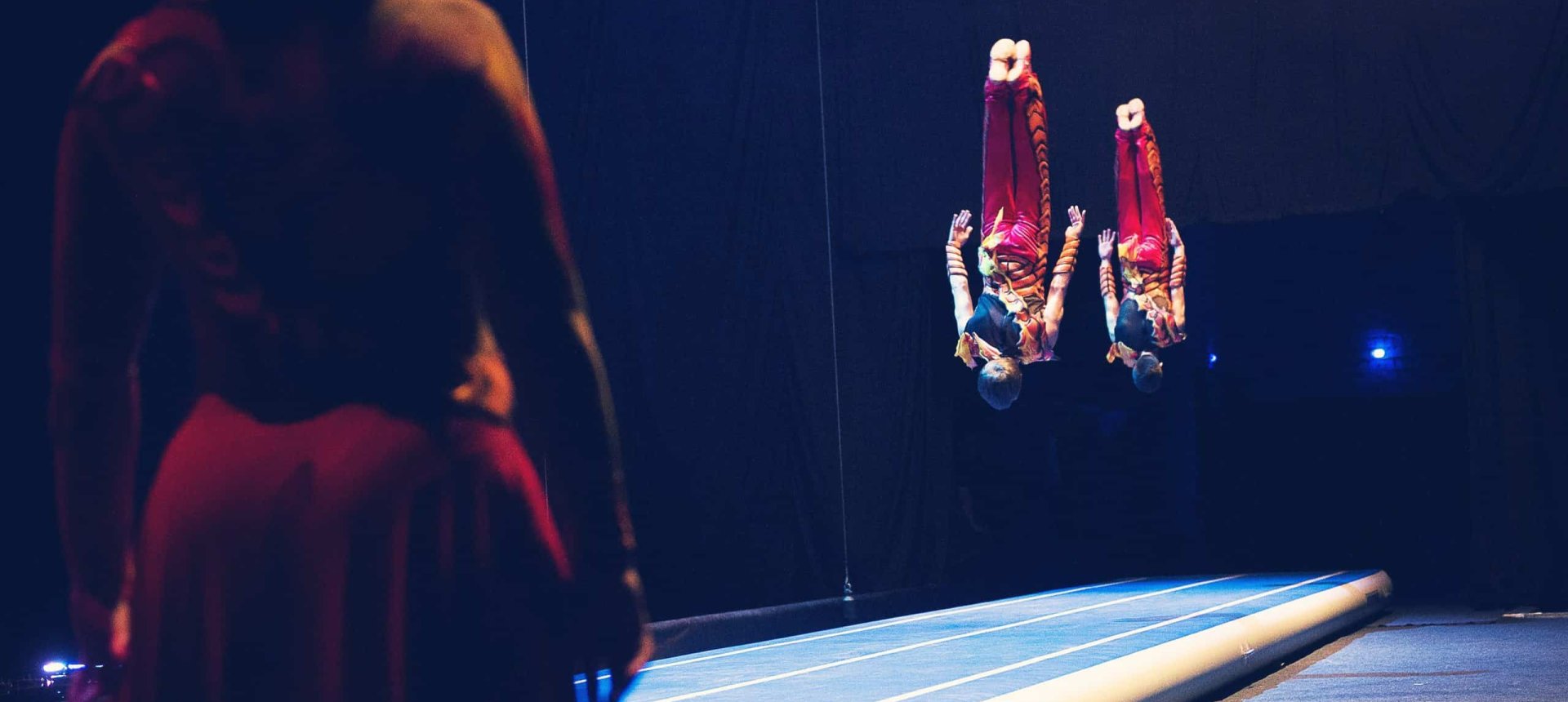 Maxima Artistic Agency